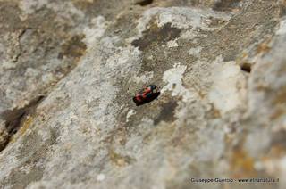 ntana Paradiso-15-05-2014 17-41-49